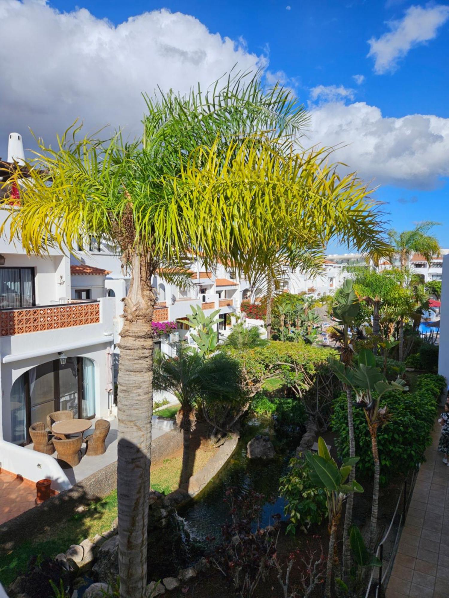 Apartament Sunny Oasis Amarilla Golf San Miguel de Abona Zewnętrze zdjęcie